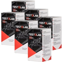 Pacchetto Testolan per 6 mesi di fornitura