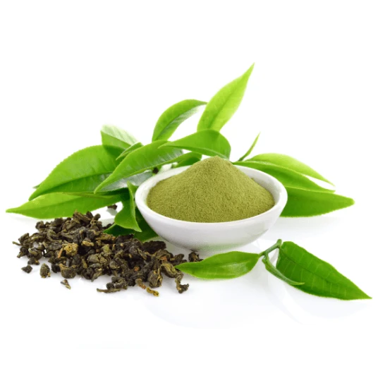 Foglie di tè verde, fonte di EGCG per il metabolismo dei grassi