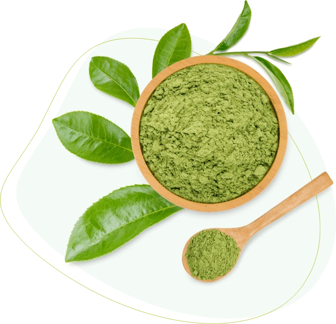 Foglie di tè verde matcha in polvere